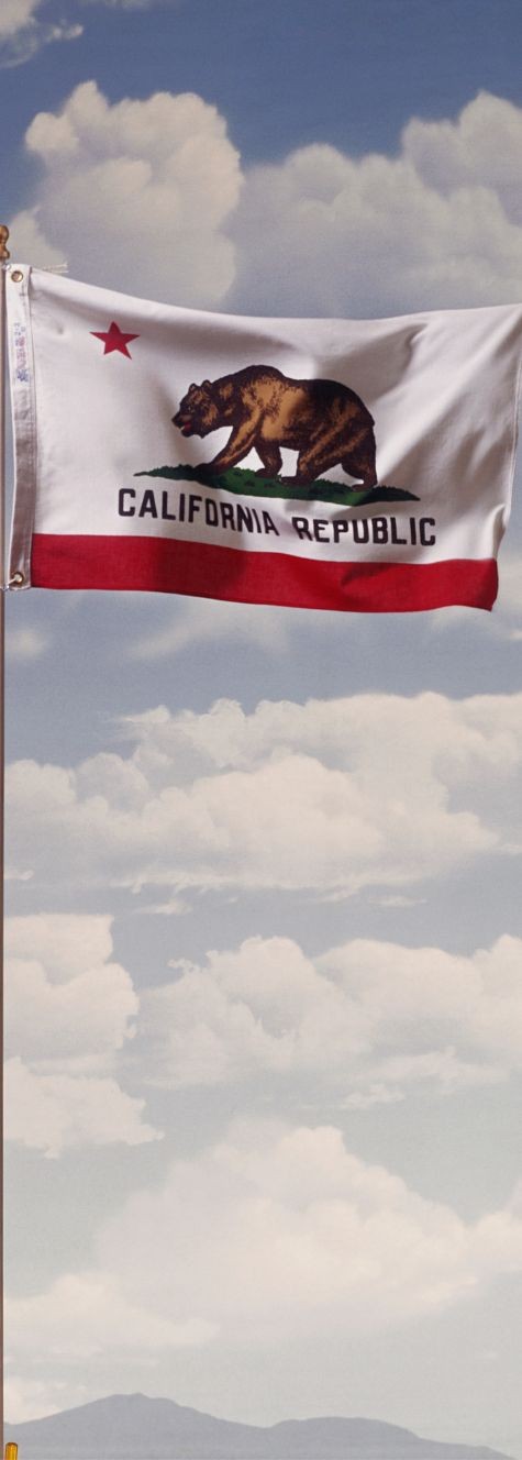 California state flag