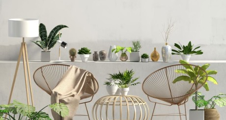 several decorative indoor plants and wicker chairs