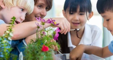 kids studying ecosystems