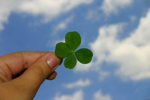 a four lead clover being held up to the sky