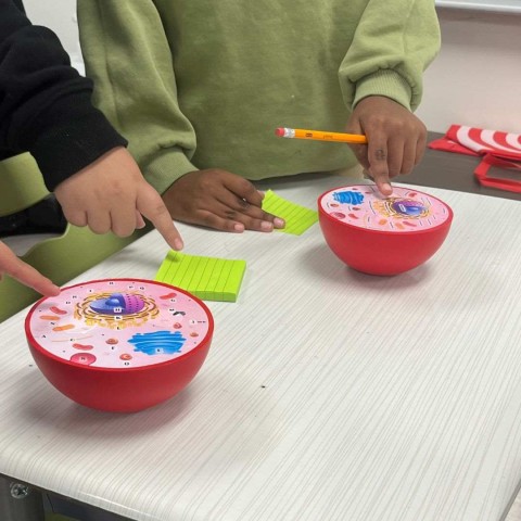 children in hands on learning science class